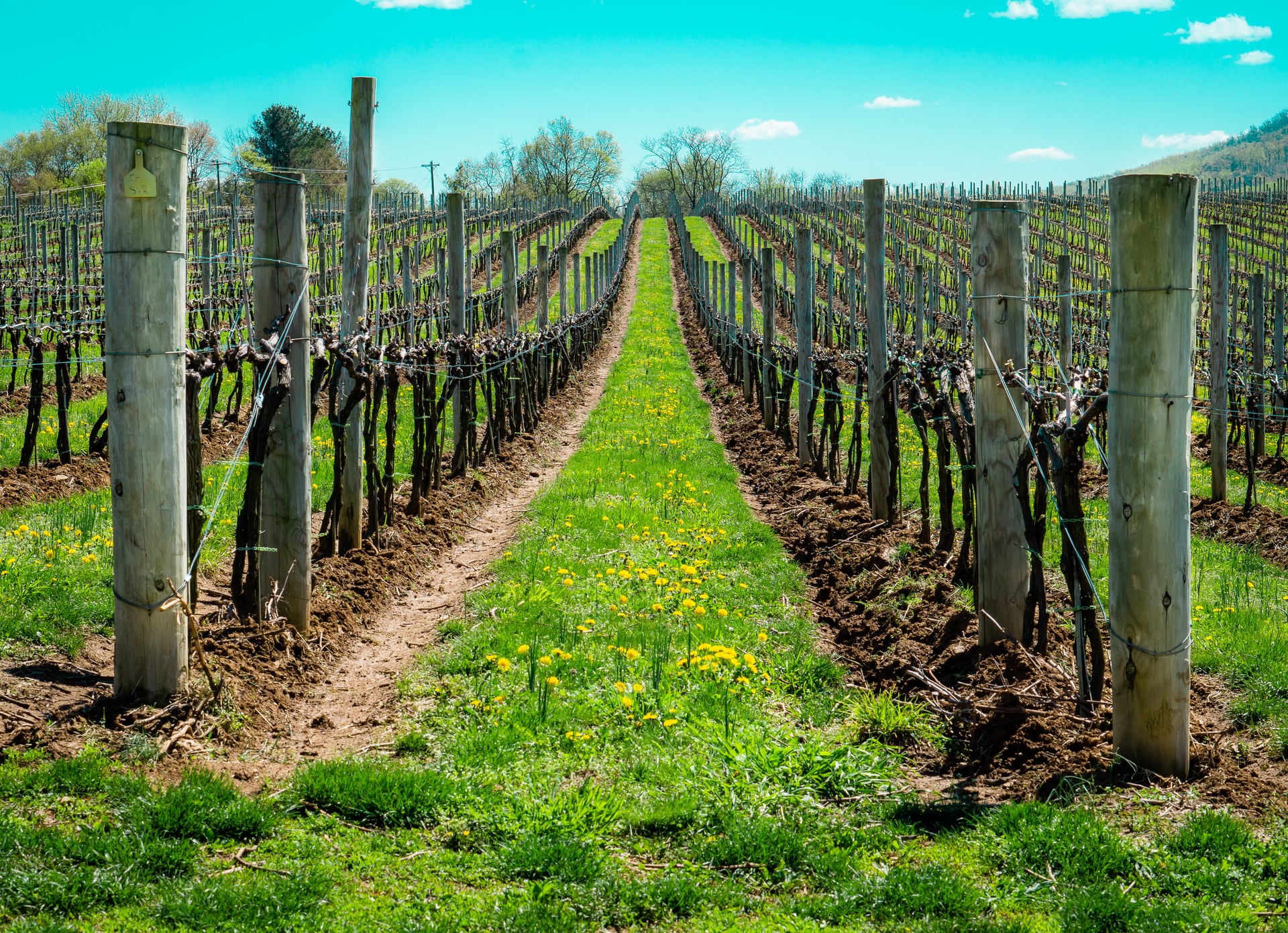 The Weekend Getaway Guide To Virginia